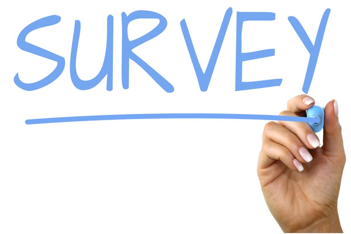Survey apps that actually pay 2025